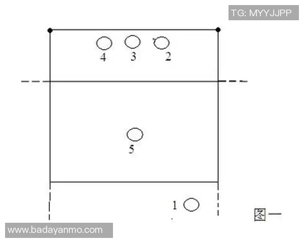 杭州排球队的转换体系与战术分析探讨排球竞技的新思路