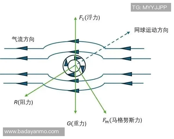 网球新手必看：从零基础到实力提升的全面入门指南