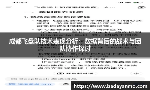 成都飞盘队技术表现分析：数据背后的战术与团队协作探讨