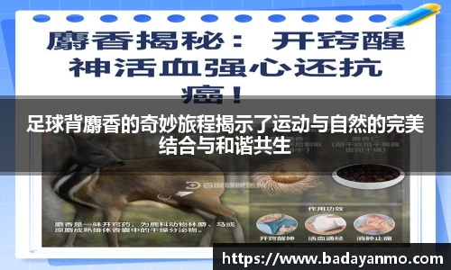 彩神(Vll)一起成长